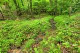 636 Bear Paw Trail - Photo 104