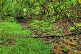 636 Bear Paw Trail - Photo 87