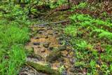 636 Bear Paw Trail - Photo 90