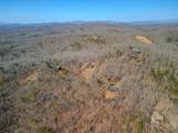 310 Wunder Bear Ridge Road - Photo 42