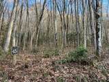 Lot 45 Tusquittee Crossing - Photo 12