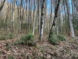 Lot 45 Tusquittee Crossing - Photo 17