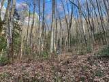 Lot 45 Tusquittee Crossing - Photo 20