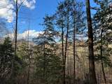 Lot 45 Tusquittee Crossing - Photo 4