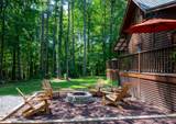 67 Big Tree Road - Photo 10