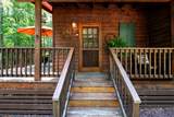 67 Big Tree Road - Photo 36