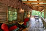 67 Big Tree Road - Photo 8