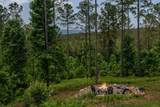 230 High River Landing - Photo 18