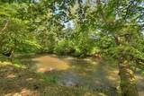 Lot 10 Cartecay River Run - Photo 11