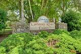 Lot 10 Cartecay River Run - Photo 17