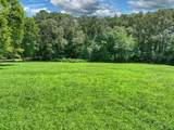 Lot 10 Cartecay River Run - Photo 6
