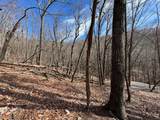 4528 Sassafras Mountain Trail - Photo 10