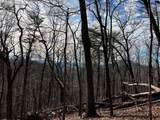 4528 Sassafras Mountain Trail - Photo 11
