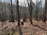 4528 Sassafras Mountain Trail - Photo 15