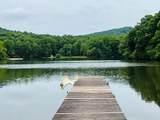 4528 Sassafras Mountain Trail - Photo 16