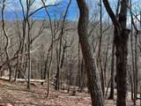 4528 Sassafras Mountain Trail - Photo 2