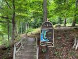 4528 Sassafras Mountain Trail - Photo 21