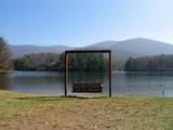 4528 Sassafras Mountain Trail - Photo 25