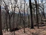 4528 Sassafras Mountain Trail - Photo 3