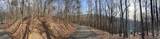 4528 Sassafras Mountain Trail - Photo 4