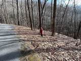 4528 Sassafras Mountain Trail - Photo 6