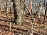 4528 Sassafras Mountain Trail - Photo 7
