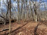 4528 Sassafras Mountain Trail - Photo 9