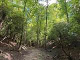 295 Mountain Laurel Ridge - Photo 56