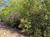 295 Mountain Laurel Ridge - Photo 57