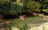 107 23rd Street - Photo 43