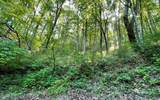 Lot 22 High Meadows - Photo 20