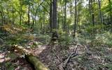 Lot 22 High Meadows - Photo 24