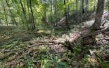 Lot 22 High Meadows - Photo 27