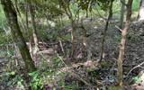 Lot 22 High Meadows - Photo 28