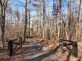 346 Rusty Lady Lane - Photo 13