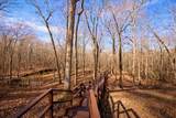 346 Rusty Lady Lane - Photo 49