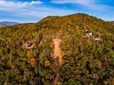 Lot 7 Whiskey Mountain Estates - Photo 11