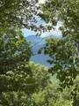 Lot 7 Whiskey Mountain Estates - Photo 7