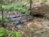 125 Winding Creek Road - Photo 36