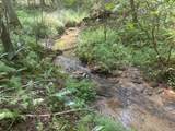 125 Winding Creek Road - Photo 37