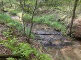 125 Winding Creek Road - Photo 41