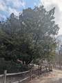 53 Stonebrook Lane - Photo 7