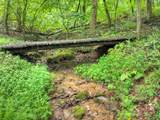 430 Chestnut Ridge - Photo 3