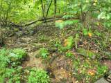 430 Chestnut Ridge - Photo 35