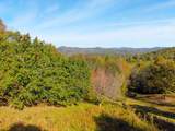 295 White Oak Drive - Photo 73