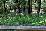 795 Kells Ridge - Photo 50