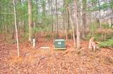 lot 12 Deer Forest - Photo 11