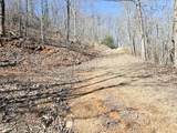 Lot 39 Merlin Trail/Warbler Road - Photo 10