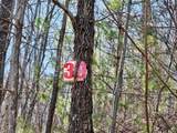 Lot 39 Merlin Trail/Warbler Road - Photo 18