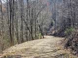 Lot 39 Merlin Trail/Warbler Road - Photo 8
